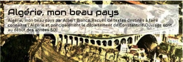 Blog-Algérie-mon-beau-pays - Copie